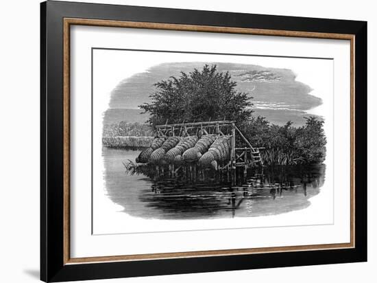 Eel Bucks on the Thames, 19th Century-null-Framed Giclee Print