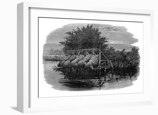 Eel Bucks on the Thames, 19th Century-null-Framed Giclee Print