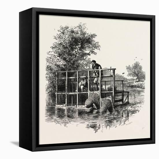 Eel Bucks on the Thames, Scenery of the Thames, UK, 19th Century-null-Framed Premier Image Canvas