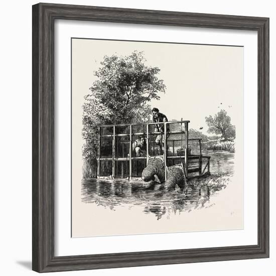 Eel Bucks on the Thames, Scenery of the Thames, UK, 19th Century-null-Framed Giclee Print