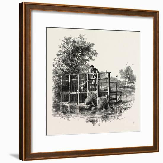 Eel Bucks on the Thames, Scenery of the Thames, UK, 19th Century-null-Framed Giclee Print