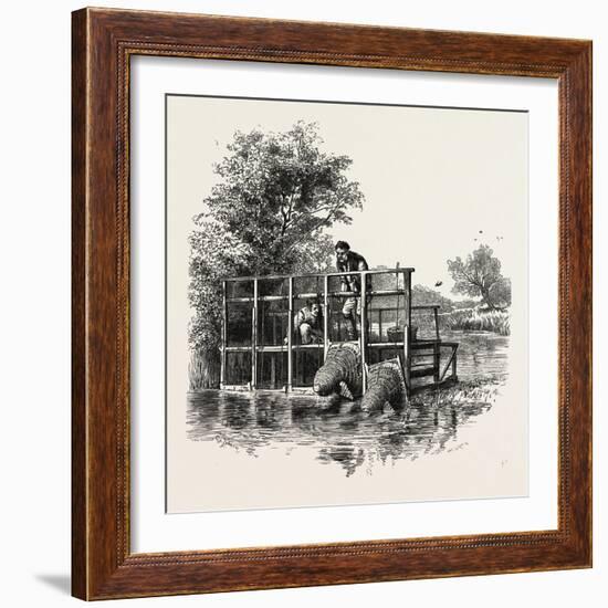 Eel Bucks on the Thames, Scenery of the Thames, UK, 19th Century-null-Framed Giclee Print