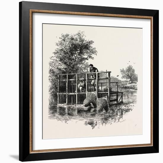 Eel Bucks on the Thames, Scenery of the Thames, UK, 19th Century-null-Framed Giclee Print