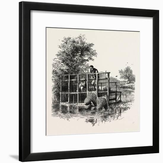 Eel Bucks on the Thames, Scenery of the Thames, UK, 19th Century-null-Framed Giclee Print