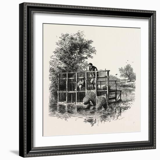 Eel Bucks on the Thames, Scenery of the Thames, UK, 19th Century-null-Framed Giclee Print