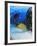 Eel-null-Framed Photographic Print