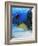 Eel-null-Framed Photographic Print