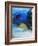 Eel-null-Framed Photographic Print