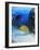 Eel-null-Framed Photographic Print