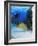 Eel-null-Framed Photographic Print