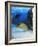 Eel-null-Framed Photographic Print