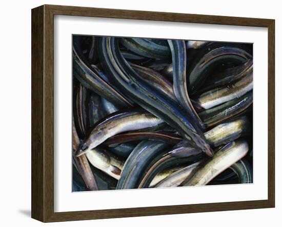 Eels-Jo Kirchherr-Framed Photographic Print