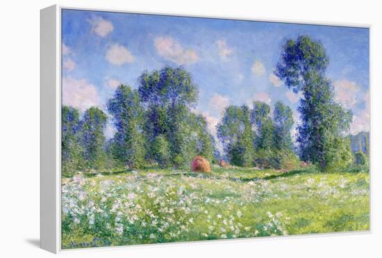 Effect of Spring, Giverny, 1890-Claude Monet-Framed Premier Image Canvas