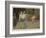 Effect-William Henry Hamilton Trood-Framed Giclee Print