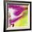 Effervescent 1-Pamela A. Johnson-Framed Giclee Print