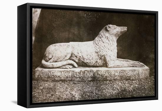 Effigy of Sir Walter Scott's Favourite Dog, Maida-William Henry Fox Talbot-Framed Premier Image Canvas