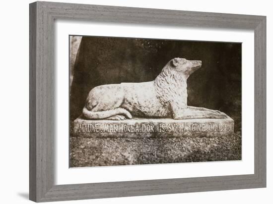 Effigy of Sir Walter Scott's Favourite Dog, Maida-William Henry Fox Talbot-Framed Giclee Print