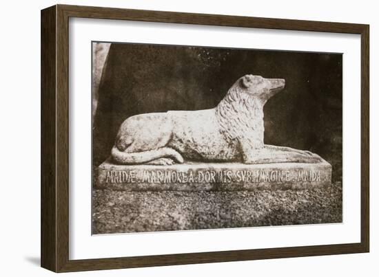 Effigy of Sir Walter Scott's Favourite Dog, Maida-William Henry Fox Talbot-Framed Giclee Print