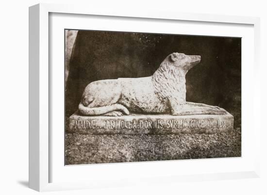 Effigy of Sir Walter Scott's Favourite Dog, Maida-William Henry Fox Talbot-Framed Giclee Print