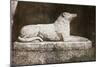 Effigy of Sir Walter Scott's Favourite Dog, Maida-William Henry Fox Talbot-Mounted Giclee Print