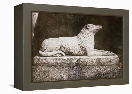 Effigy of Sir Walter Scott's Favourite Dog, Maida-William Henry Fox Talbot-Framed Premier Image Canvas