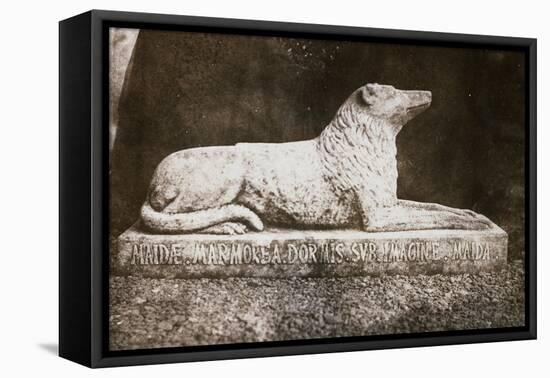 Effigy of Sir Walter Scott's Favourite Dog, Maida-William Henry Fox Talbot-Framed Premier Image Canvas