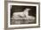 Effigy of Sir Walter Scott's Favourite Dog, Maida-William Henry Fox Talbot-Framed Giclee Print