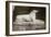 Effigy of Sir Walter Scott's Favourite Dog, Maida-William Henry Fox Talbot-Framed Giclee Print