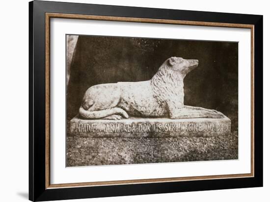 Effigy of Sir Walter Scott's Favourite Dog, Maida-William Henry Fox Talbot-Framed Giclee Print