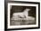Effigy of Sir Walter Scott's Favourite Dog, Maida-William Henry Fox Talbot-Framed Giclee Print