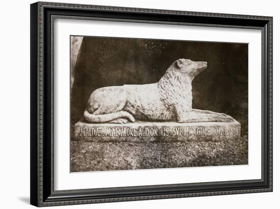 Effigy of Sir Walter Scott's Favourite Dog, Maida-William Henry Fox Talbot-Framed Giclee Print