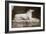 Effigy of Sir Walter Scott's Favourite Dog, Maida-William Henry Fox Talbot-Framed Giclee Print