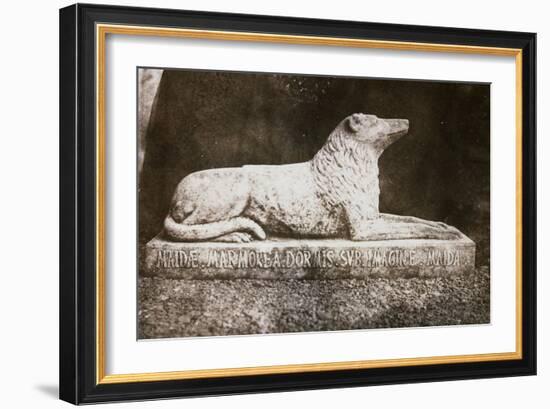 Effigy of Sir Walter Scott's Favourite Dog, Maida-William Henry Fox Talbot-Framed Giclee Print