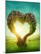 Premium Photographic Print