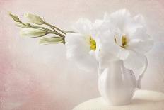 White Flowers in a Vase-egal-Photographic Print