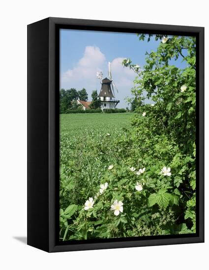 Egeskov Mill, Funen, Denmark, Scandinavia-Adam Woolfitt-Framed Premier Image Canvas