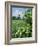 Egeskov Mill, Funen, Denmark, Scandinavia-Adam Woolfitt-Framed Photographic Print