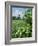 Egeskov Mill, Funen, Denmark, Scandinavia-Adam Woolfitt-Framed Photographic Print