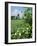 Egeskov Mill, Funen, Denmark, Scandinavia-Adam Woolfitt-Framed Photographic Print