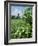 Egeskov Mill, Funen, Denmark, Scandinavia-Adam Woolfitt-Framed Photographic Print