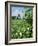 Egeskov Mill, Funen, Denmark, Scandinavia-Adam Woolfitt-Framed Photographic Print