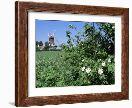 Egeskov Mill, Funen, Denmark, Scandinavia-Adam Woolfitt-Framed Photographic Print