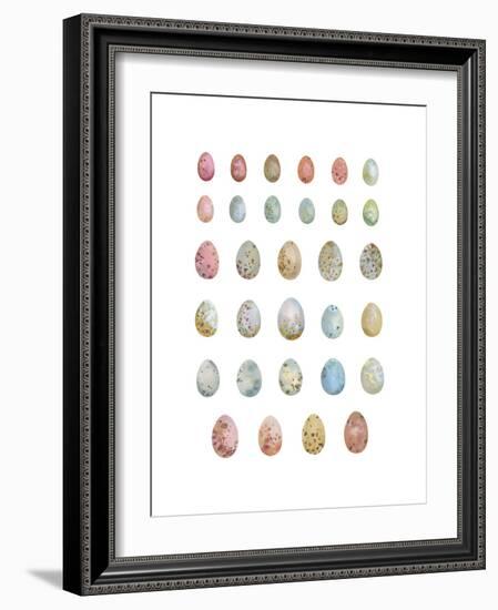 Egg Collection-Sandra Jacobs-Framed Giclee Print