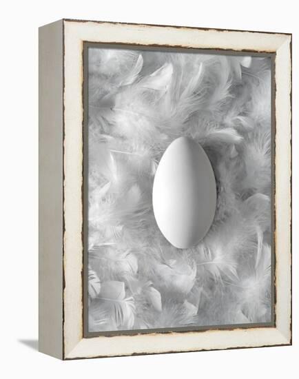 Egg on Feathers, Conceptual Image-Biddle Biddle-Framed Premier Image Canvas