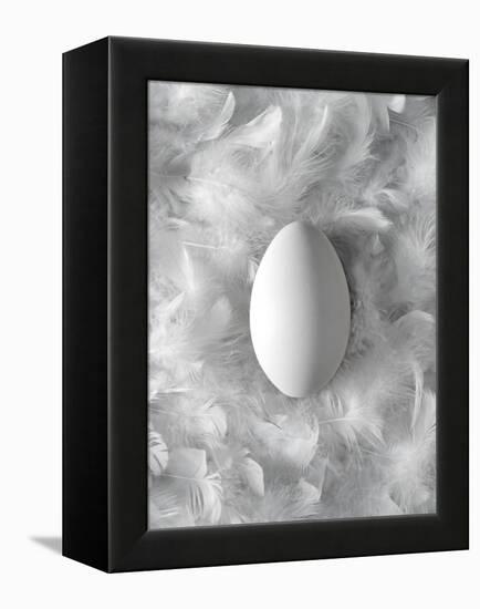 Egg on Feathers, Conceptual Image-Biddle Biddle-Framed Premier Image Canvas