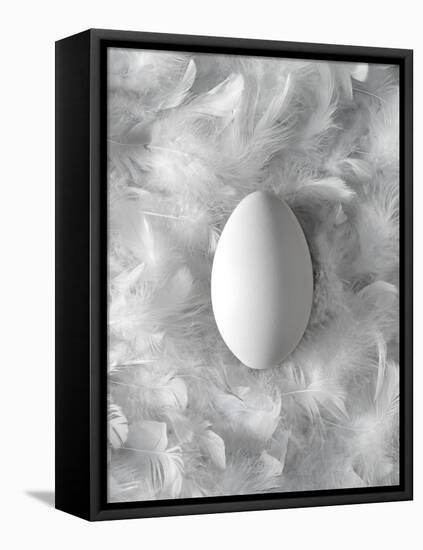 Egg on Feathers, Conceptual Image-Biddle Biddle-Framed Premier Image Canvas