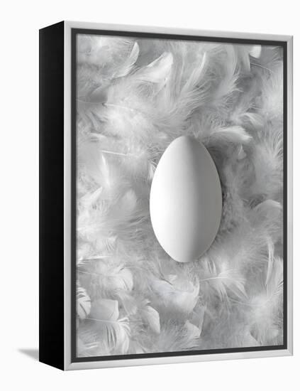 Egg on Feathers, Conceptual Image-Biddle Biddle-Framed Premier Image Canvas