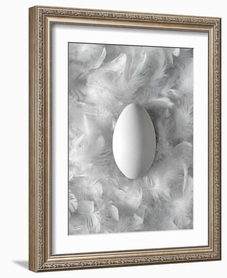 Egg on Feathers, Conceptual Image-Biddle Biddle-Framed Photographic Print