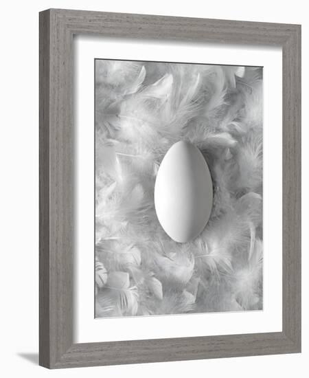 Egg on Feathers, Conceptual Image-Biddle Biddle-Framed Photographic Print