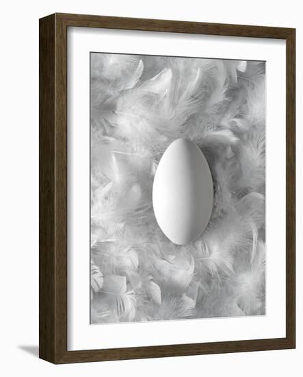 Egg on Feathers, Conceptual Image-Biddle Biddle-Framed Photographic Print